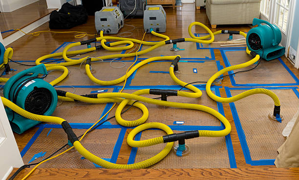 Professional Structural Drying And Dehumidification technician working in Waverly, MO